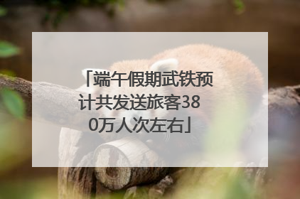 端午假期武铁预计共发送旅客380万人次左右