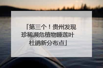 第三个！贵州发现珍稀濒危植物睡莲叶杜鹃新分布点