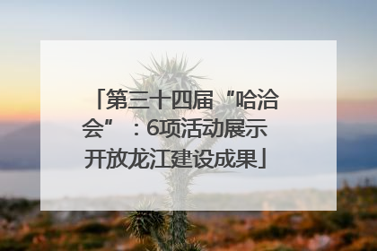 第三十四届“哈洽会”：6项活动展示开放龙江建设成果