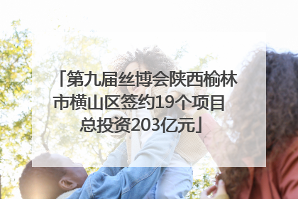 第九届丝博会陕西榆林市横山区签约19个项目 总投资203亿元
