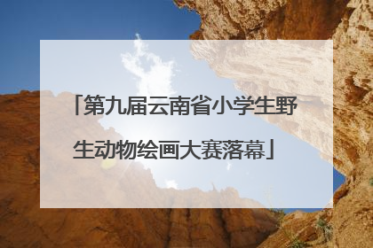 第九届云南省小学生野生动物绘画大赛落幕