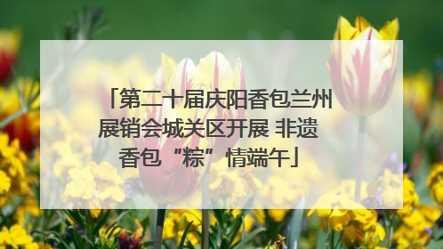 第二十届庆阳香包兰州展销会城关区开展 非遗香包“粽”情端午