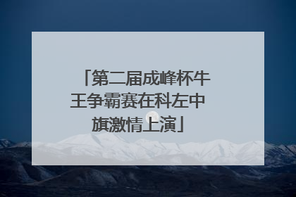第二届成峰杯牛王争霸赛在科左中旗激情上演