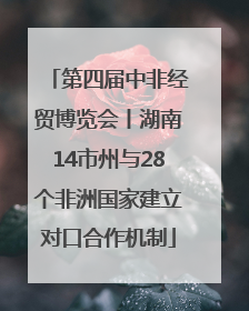 第四届中非经贸博览会丨湖南14市州与28个非洲国家建立对口合作机制