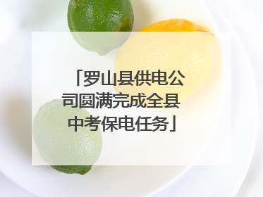 罗山县供电公司圆满完成全县中考保电任务