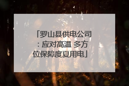 罗山县供电公司：应对高温 多方位保障度夏用电