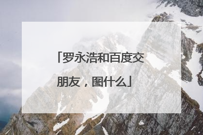 罗永浩和百度交朋友，图什么