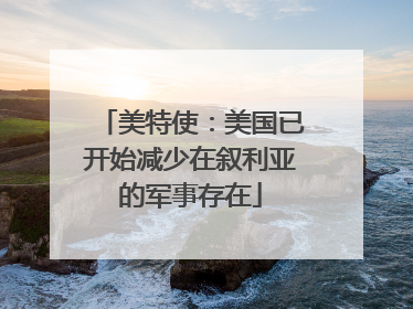 美特使：美国已开始减少在叙利亚的军事存在