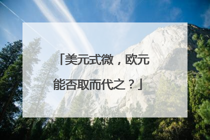 美元式微，欧元能否取而代之？