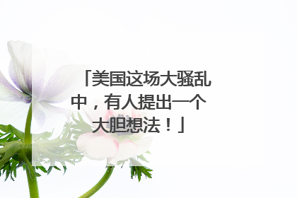 美国这场大骚乱中，有人提出一个大胆想法！