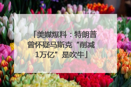 美媒爆料：特朗普曾怀疑马斯克“削减1万亿”是吹牛
