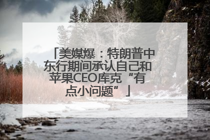 美媒爆：特朗普中东行期间承认自己和苹果CEO库克“有点小问题”