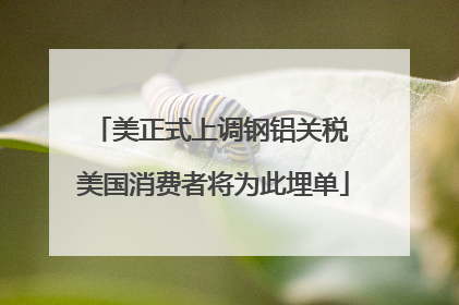 美正式上调钢铝关税 美国消费者将为此埋单
