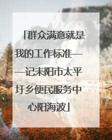 群众满意就是我的工作标准——记耒阳市太平圩乡便民服务中心阳海波