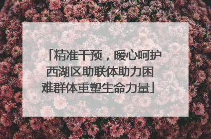 精准干预，暖心呵护 西湖区助联体助力困难群体重塑生命力量