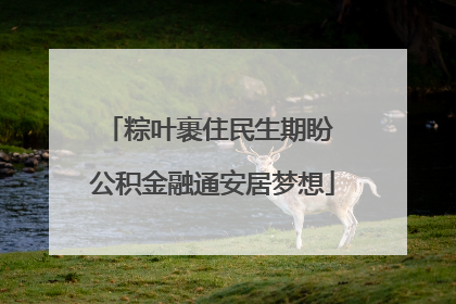 粽叶裹住民生期盼 公积金融通安居梦想