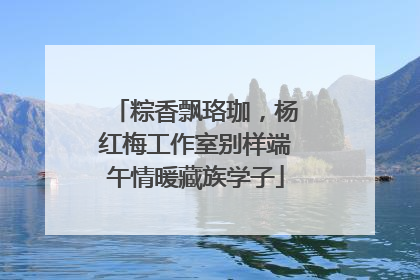 粽香飘珞珈，杨红梅工作室别样端午情暖藏族学子