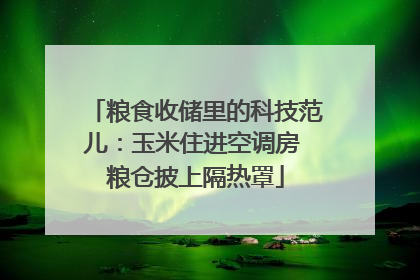 粮食收储里的科技范儿：玉米住进空调房 粮仓披上隔热罩