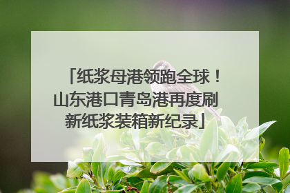 纸浆母港领跑全球！山东港口青岛港再度刷新纸浆装箱新纪录