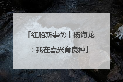红船新事⑦丨杨海龙：我在嘉兴育良种