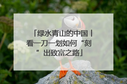 绿水青山的中国丨看一刀一划如何“刻”出致富之路