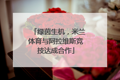 绿茵生机，米兰体育与阿拉维斯竞技达成合作