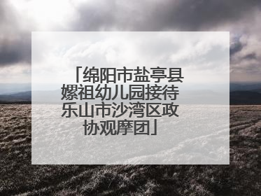 绵阳市盐亭县嫘祖幼儿园接待乐山市沙湾区政协观摩团
