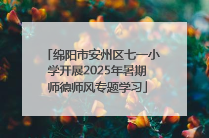 绵阳市安州区七一小学开展2025年暑期师德师风专题学习