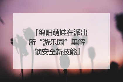 绵阳萌娃在派出所“游乐园”里解锁安全新技能