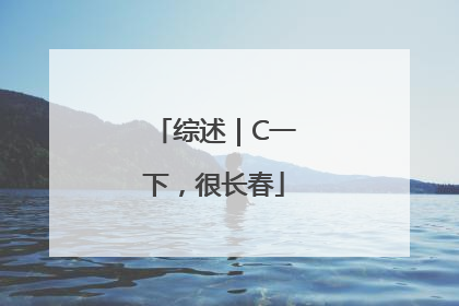 综述｜C一下，很长春