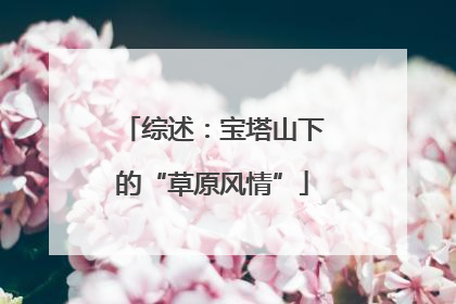 综述：宝塔山下的“草原风情”