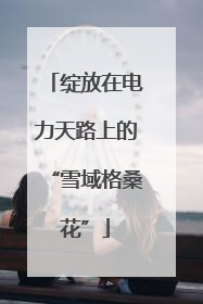 绽放在电力天路上的“雪域格桑花”