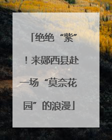 绝绝“紫”！来郧西县赴一场“莫奈花园”的浪漫
