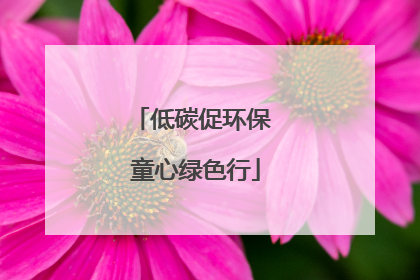低碳促环保 童心绿色行