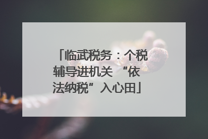 临武税务：个税辅导进机关 “依法纳税”入心田