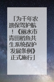 为千年农遗保驾护航！《丽水市青田稻鱼共生系统保护发展条例》正式施行