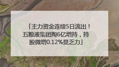 主力资金连续5日流出！五粮液集团掏6亿增持，持股微增0.12%显乏力