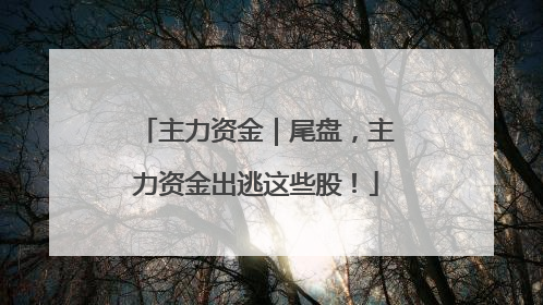 主力资金｜尾盘，主力资金出逃这些股！