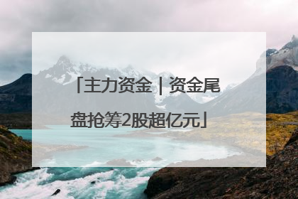 主力资金｜资金尾盘抢筹2股超亿元