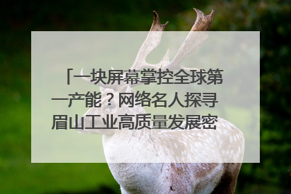 一块屏幕掌控全球第一产能？网络名人探寻眉山工业高质量发展密码｜网络名人四川行