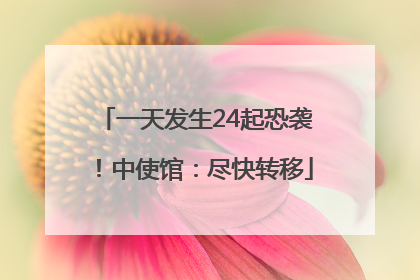 一天发生24起恐袭！中使馆：尽快转移