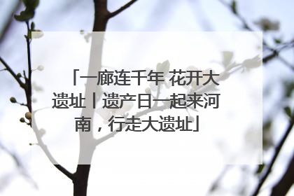 一廊连千年 花开大遗址丨遗产日一起来河南，行走大遗址