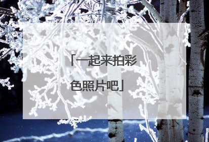一起来拍彩色照片吧