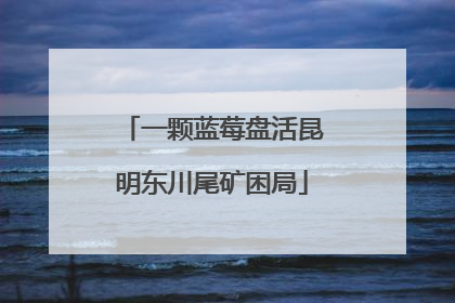 一颗蓝莓盘活昆明东川尾矿困局