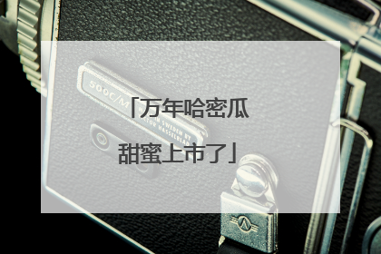 万年哈密瓜甜蜜上市了