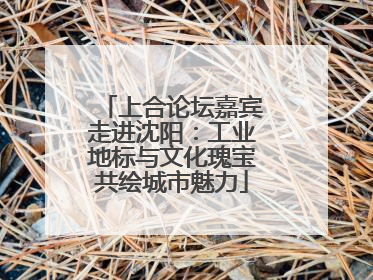 上合论坛嘉宾走进沈阳：工业地标与文化瑰宝共绘城市魅力