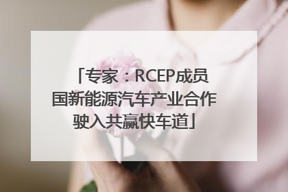 专家：RCEP成员国新能源汽车产业合作驶入共赢快车道