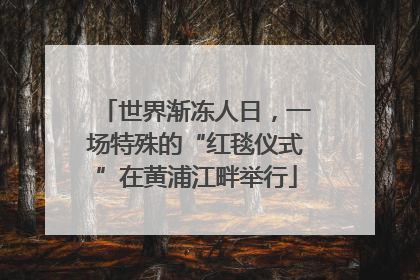 世界渐冻人日，一场特殊的“红毯仪式”在黄浦江畔举行
