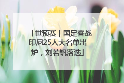 世预赛｜国足客战印尼25人大名单出炉，刘若钒落选