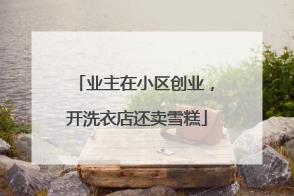 业主在小区创业，开洗衣店还卖雪糕